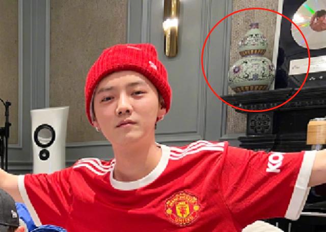 鹿晗背景有多强大,鹿晗背景有多牛做公益