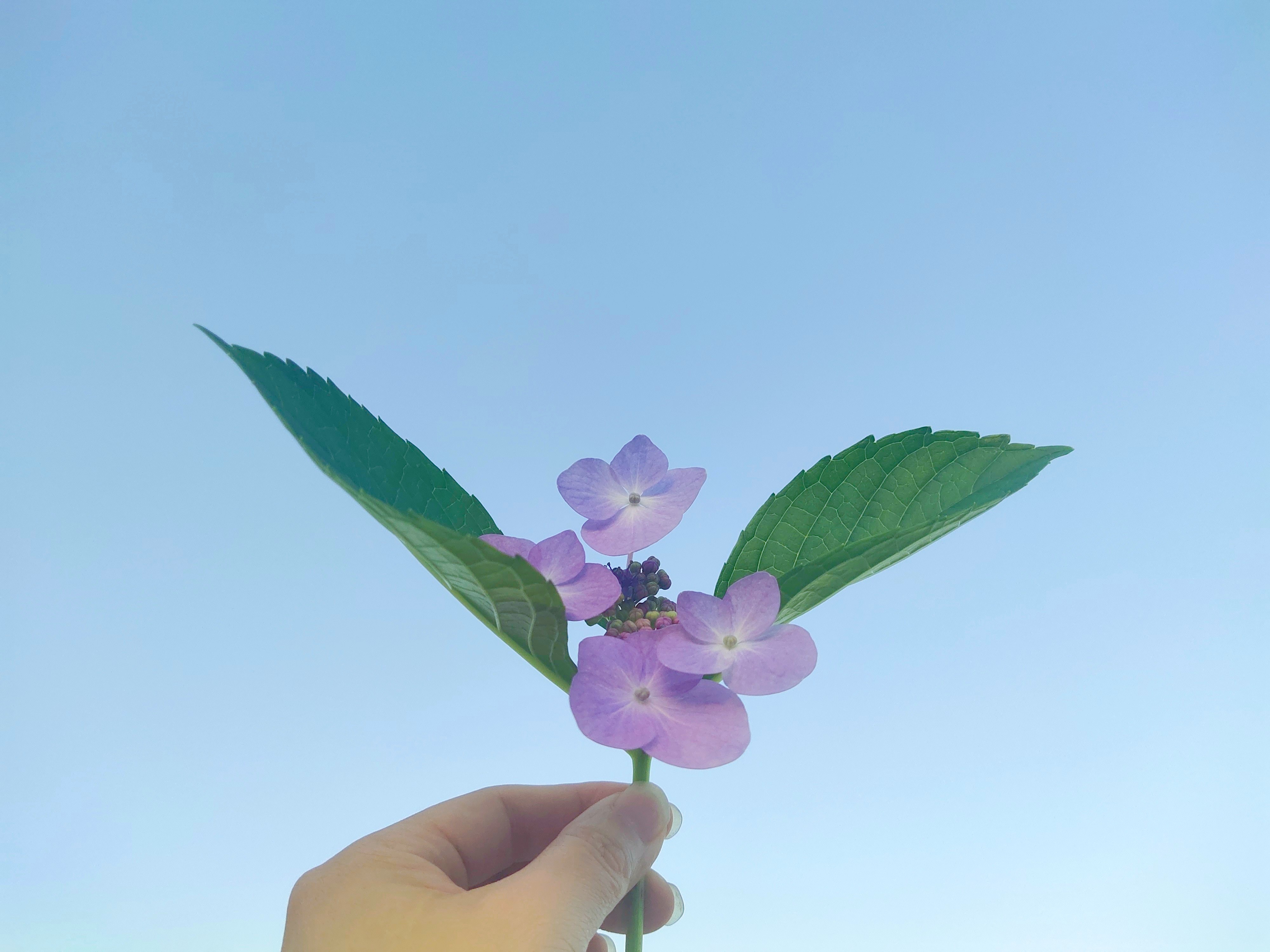 相亲见面两次可以发展到什么地步,同一个相亲对象介绍两次