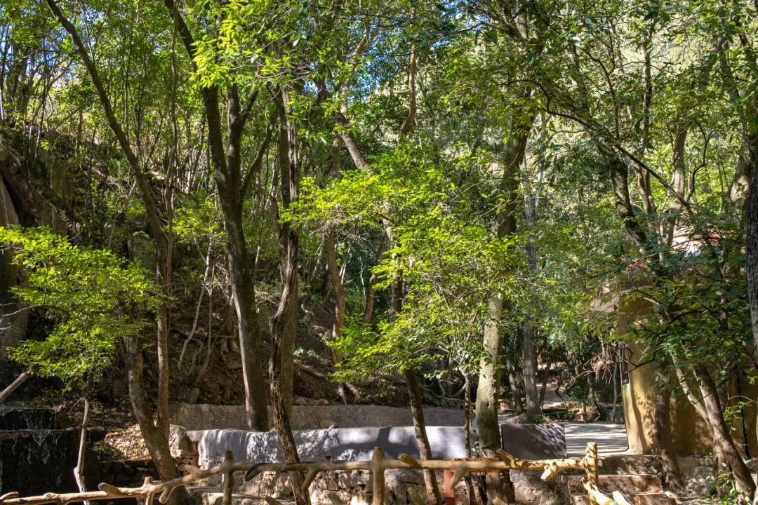 昆明旅游漂流攻略图,昆明夏季旅游攻略一日游景点