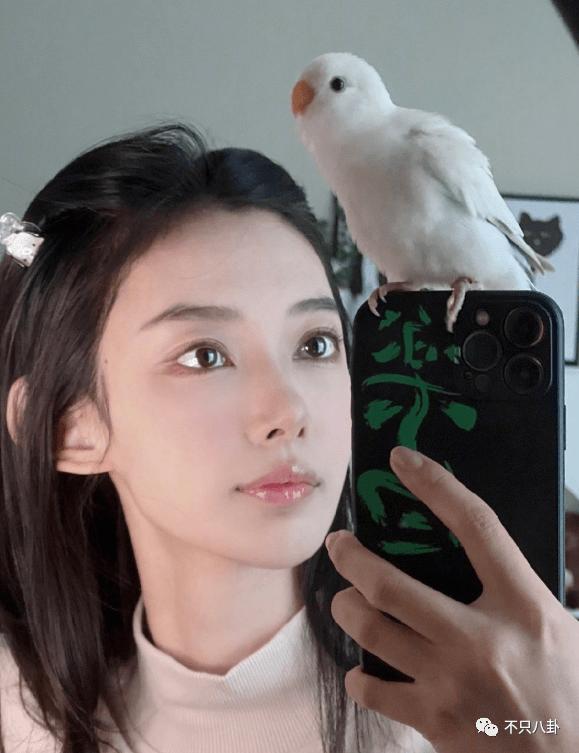 宠妻人设彻底崩塌,宠妻人设崩塌原因