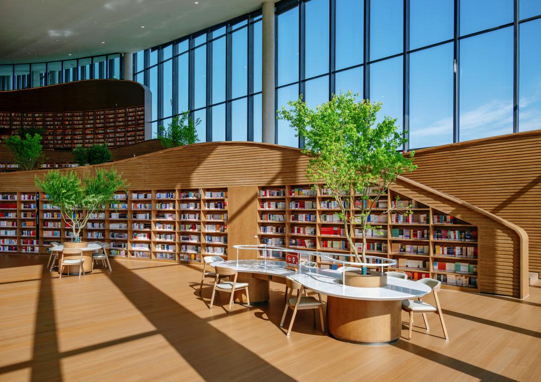 成都好玩的地方网红打卡地免费,成都不踩雷的打卡点攻略