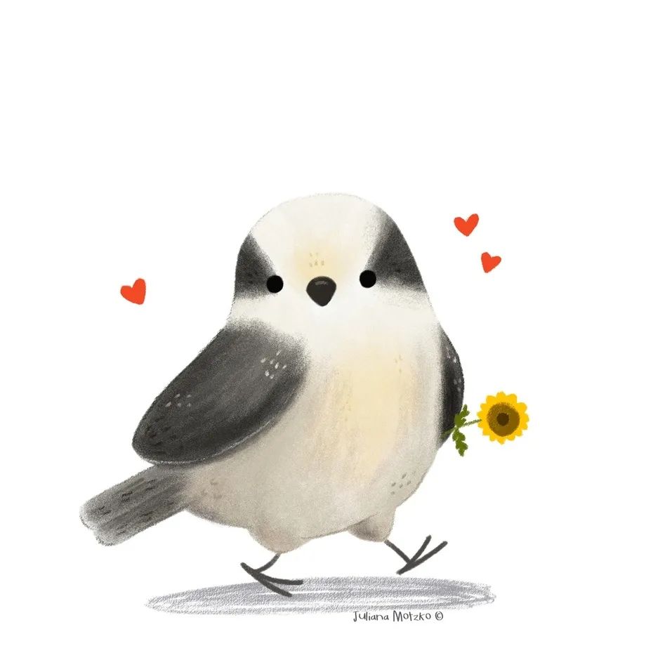 鸟类插画大全,鸟类插画艺术欣赏