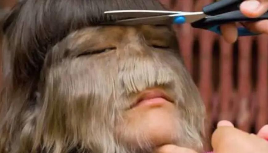 美国女孩艾米丽,美国女孩艾米丽在中国