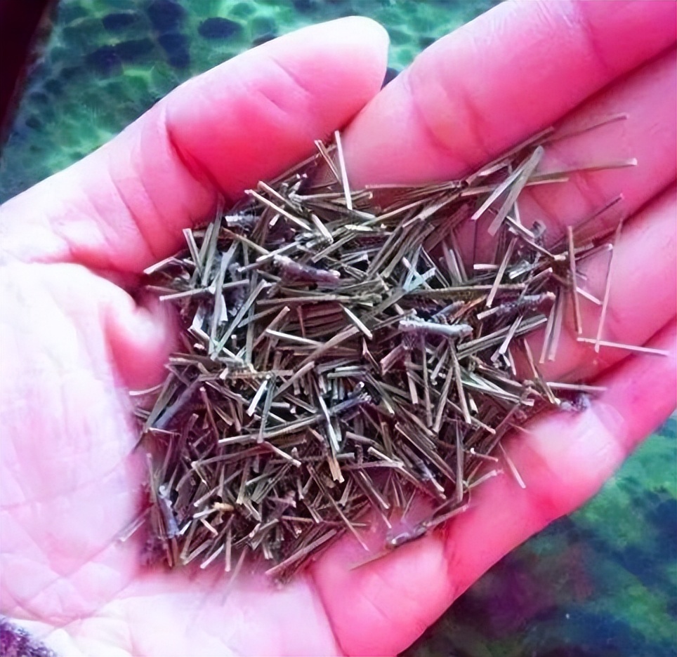 给绿萝、文竹、吊兰倒下3种“酸水”，叶片绿油油，养多少都爆