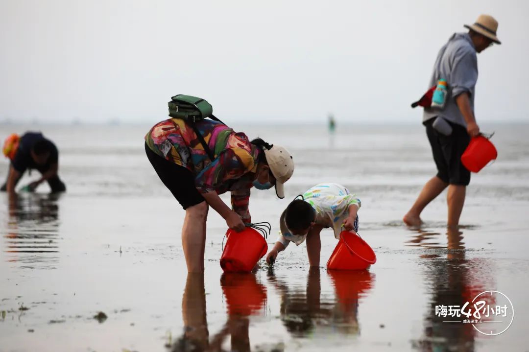 山东荣成云栖民宿,荣成海云栖民宿
