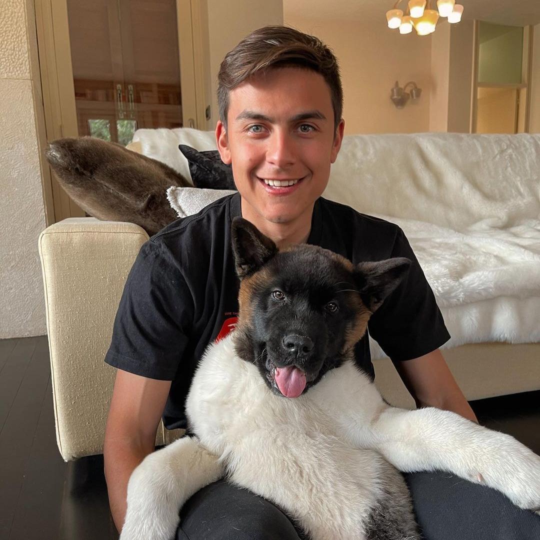 世界杯各国帅哥,世界杯帅哥有哪些