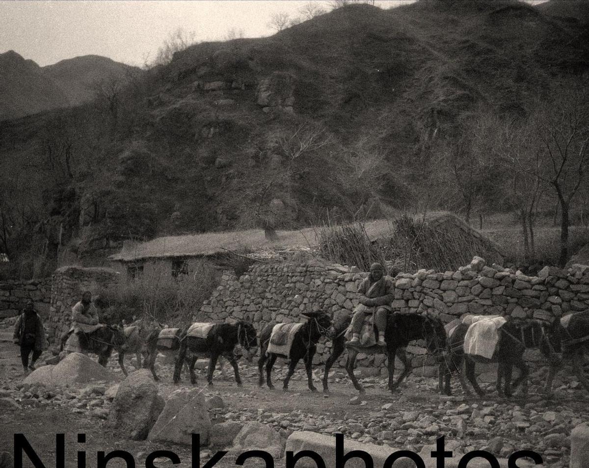 娓呭绉樺彶鍥剧墖澶у叏,娓呬唬鍘嗗彶鐝嶈吹褰卞儚