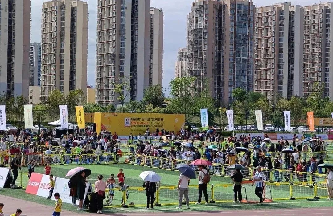 派迪茵体育有限公司,派迪茵体育股份有限公司