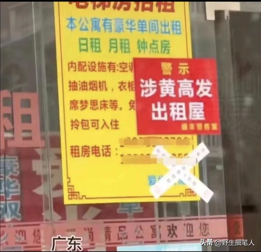 公寓被贴涉黄高发出租屋，对禁黄是真有用还是博噱头？结果很炸裂
