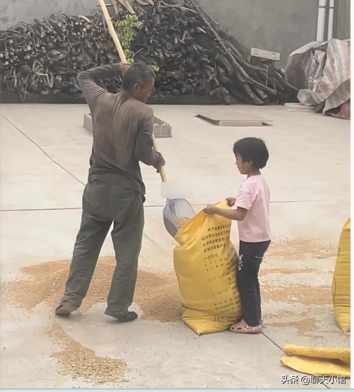 一张“农村小女孩帮忙麦收”照片惹众怒：收起你的傲慢与无知！