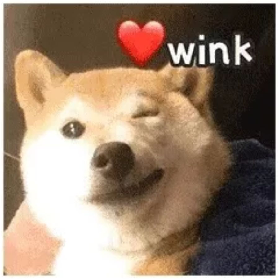 笔记本电脑死机画面卡住不动,电脑死机画面卡住不动且按键没用