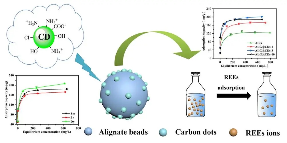 探究银离子浸渍海藻酸盐和水凝胶的制备及其抗菌性能
