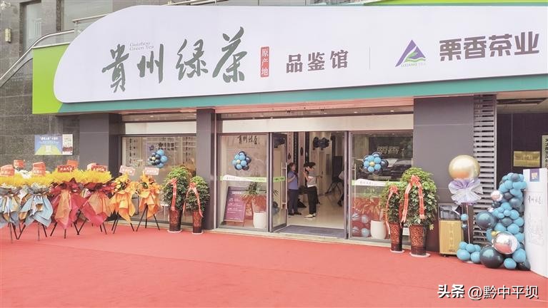 贵州茶产业发展三年行动,贵州茶产业发展后来居上