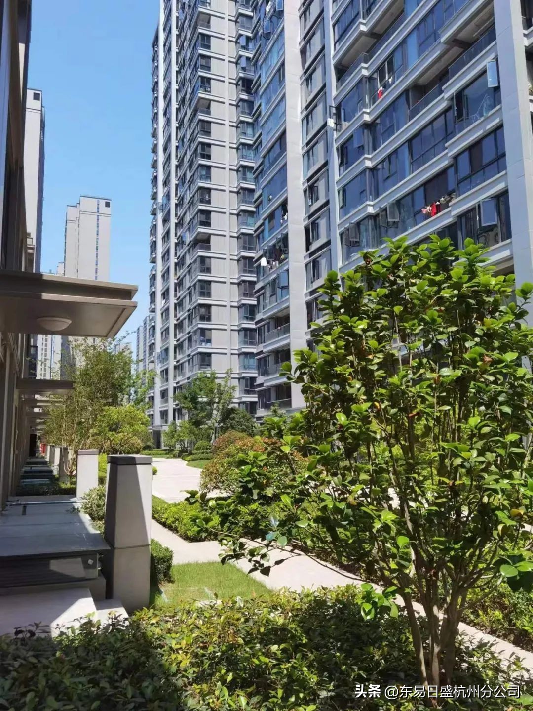 仲夏六月，美好将至|杭州东易日盛恭祝所有业主开工大吉！