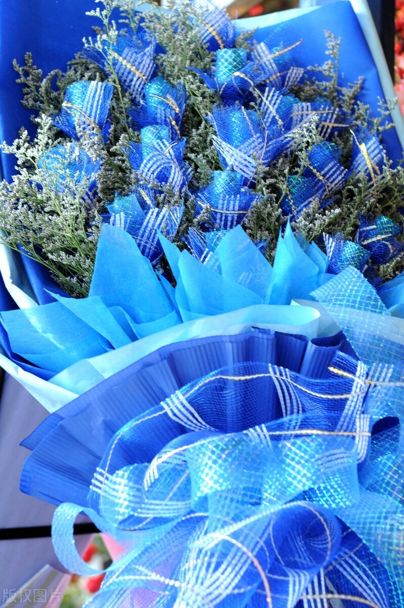 蓝色妖姬图片唯美两朵,蓝色妖姬各种图片