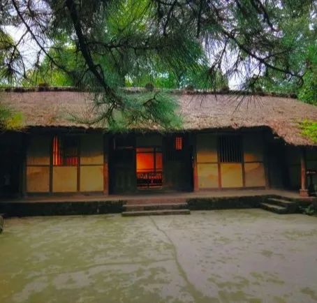 成都重庆九寨沟旅游攻略自由行,70-80岁老人旅游攻略成都