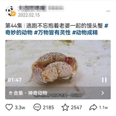 无穷小亮的科普日常海洋生物,无穷小亮的科普日常美丽的海洋25