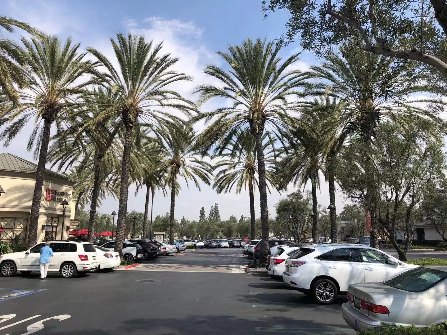 尔湾有多少华人定居,尔湾华人富人生活