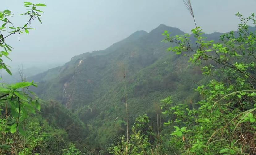 璧山青龙湖一日游最佳路线,万里长江唐诗
