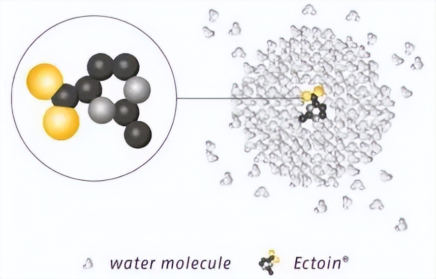国货护肤品成分党新品,国货护肤品翻盘技巧