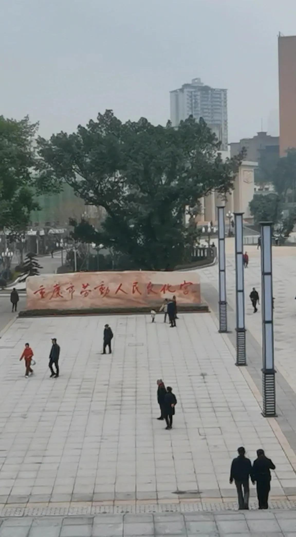 春游开拓眼界,春游樱花广场图片