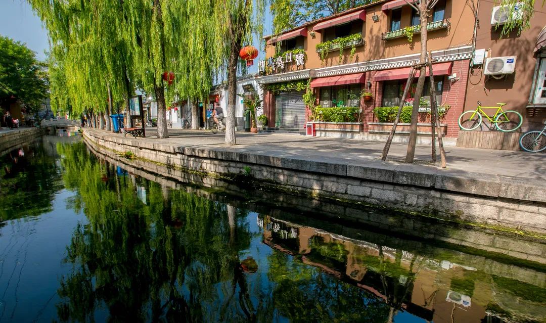 美爆了济南这些地方成网红打卡地,2019年济南网红打卡地瀑布树林