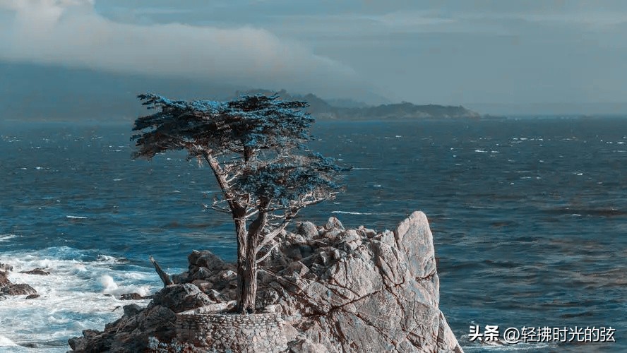 中国著名诗词大全集,诗词十大最美巅峰之作