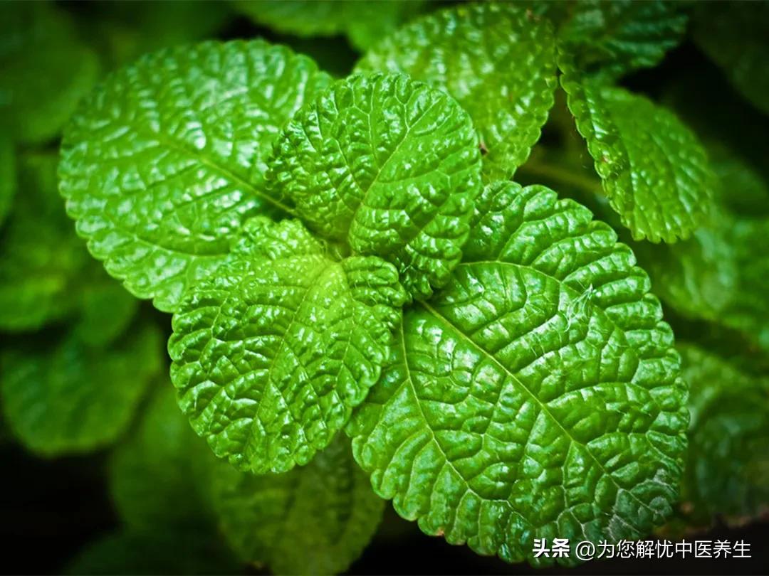 保卵安坤方,安坤宝卵巢保养精油有什么作用