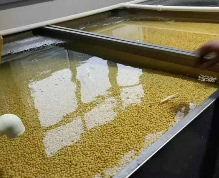 空气能烘干食用菌设备,腐竹蒸汽烘干一体设备