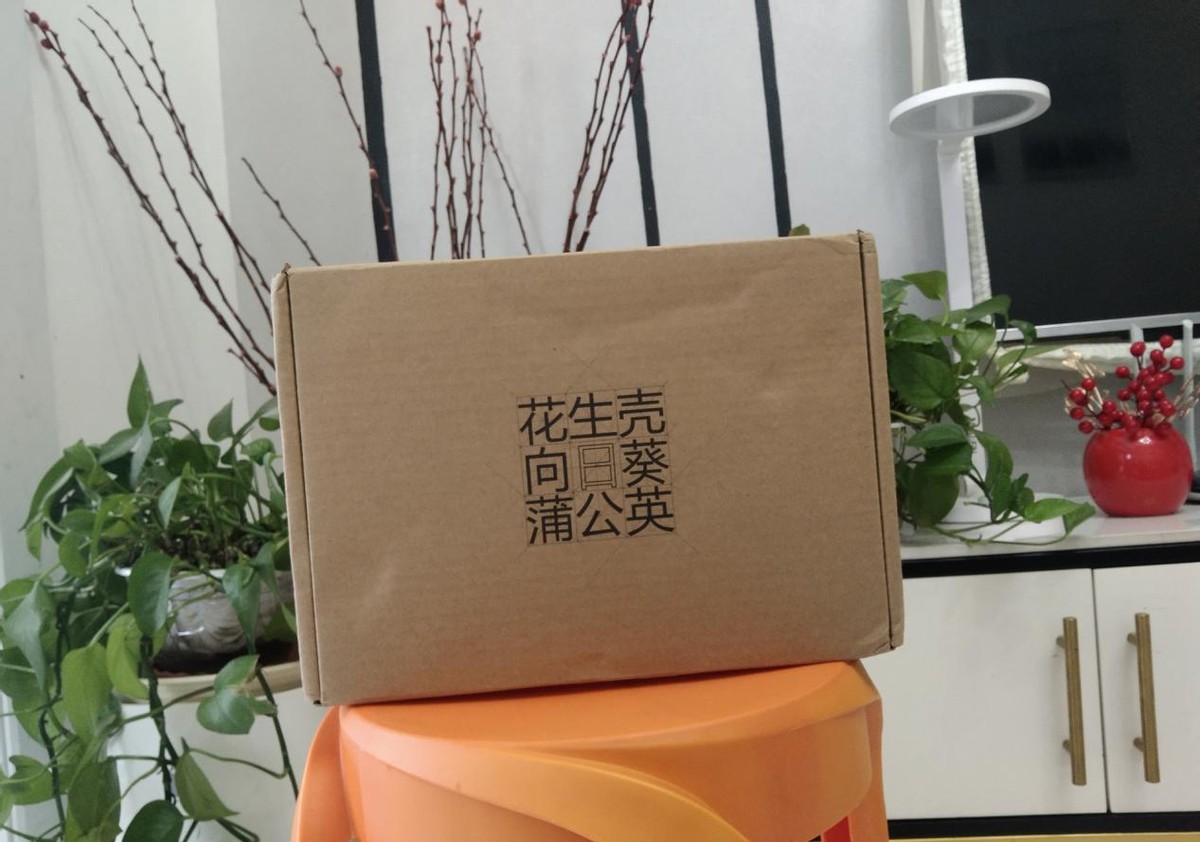 使用蒲公英x3a如何远程访问nas,插上u盘就是win系统