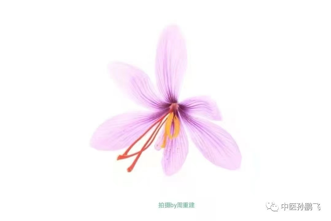 金匮要略学习参考资料pdf,金匮要略方论学习笔记4