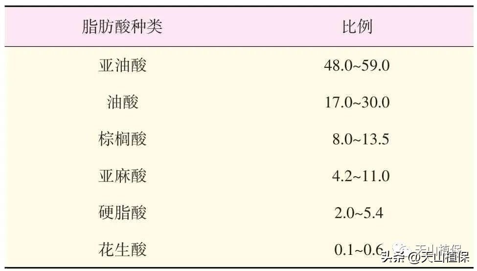 大豆全产业加工研究进展详情,大豆加工什么最有前途