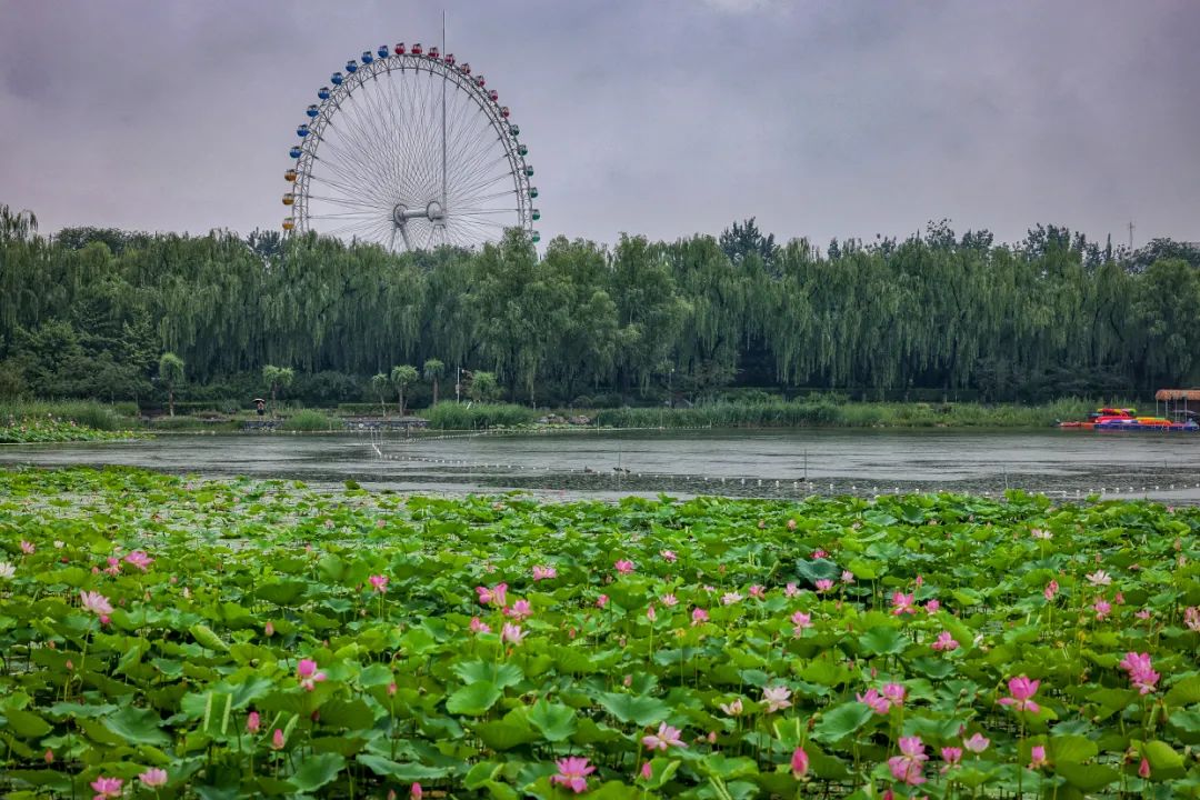 蓝天净土碧水,蓝天碧水净土昆明