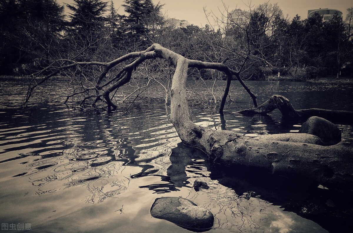 自古人生谁无死丹心照汗青,自古谁无死留取丹心照汗青