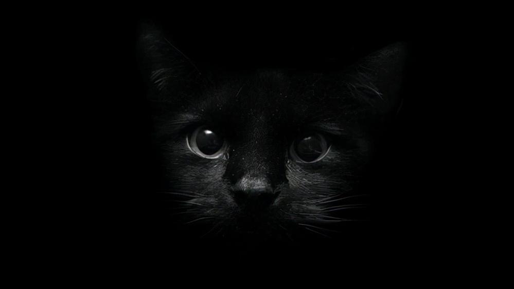 全球十大罕见黑色神兽,最昂贵的十大黑动物