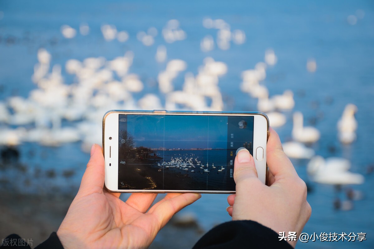 手机拍照功能怎么拍出清晰照片,手机拍照一个功能让照片更清晰