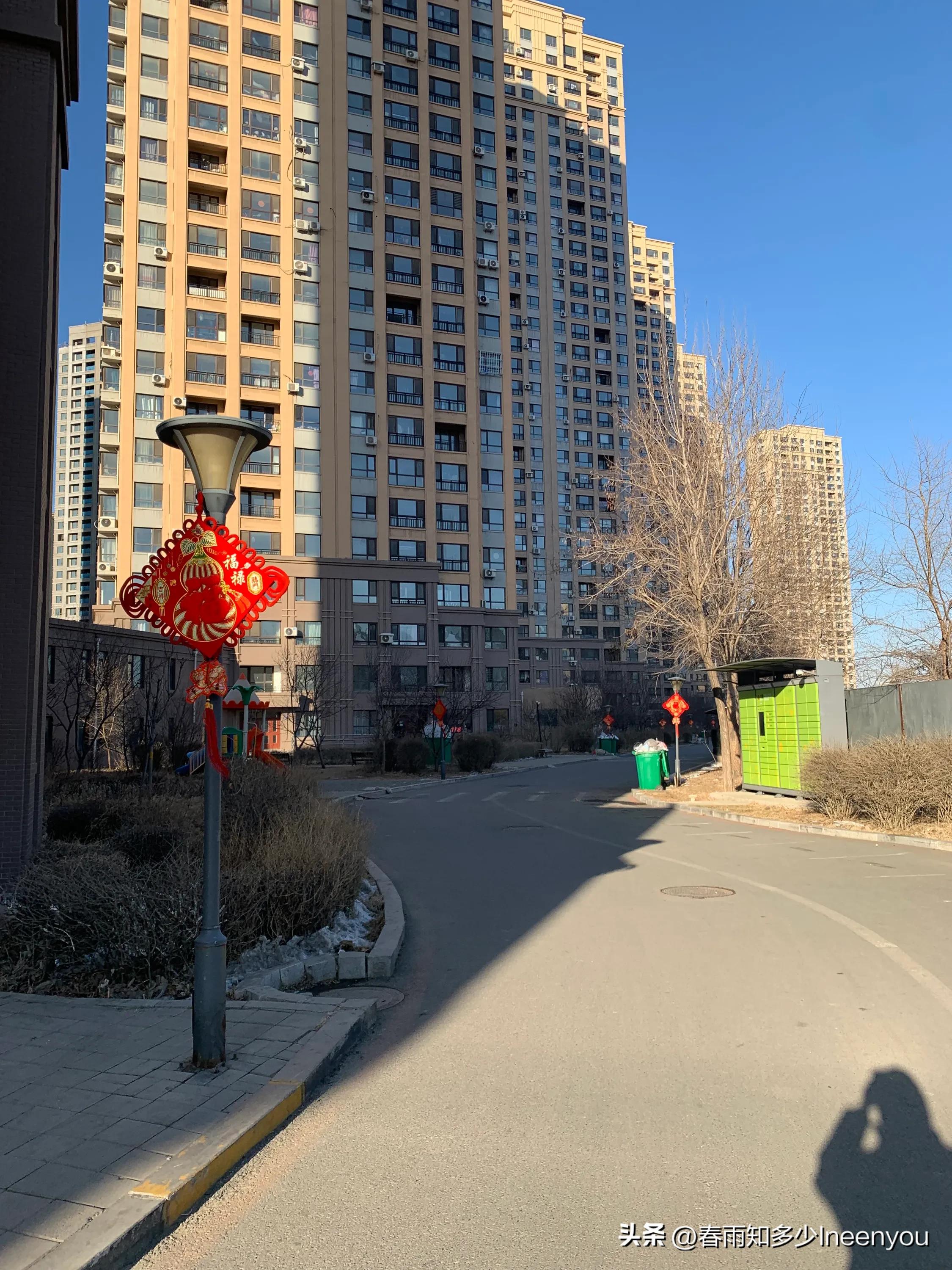 生活本就是不停的奔波,元旦将至忙忙碌碌