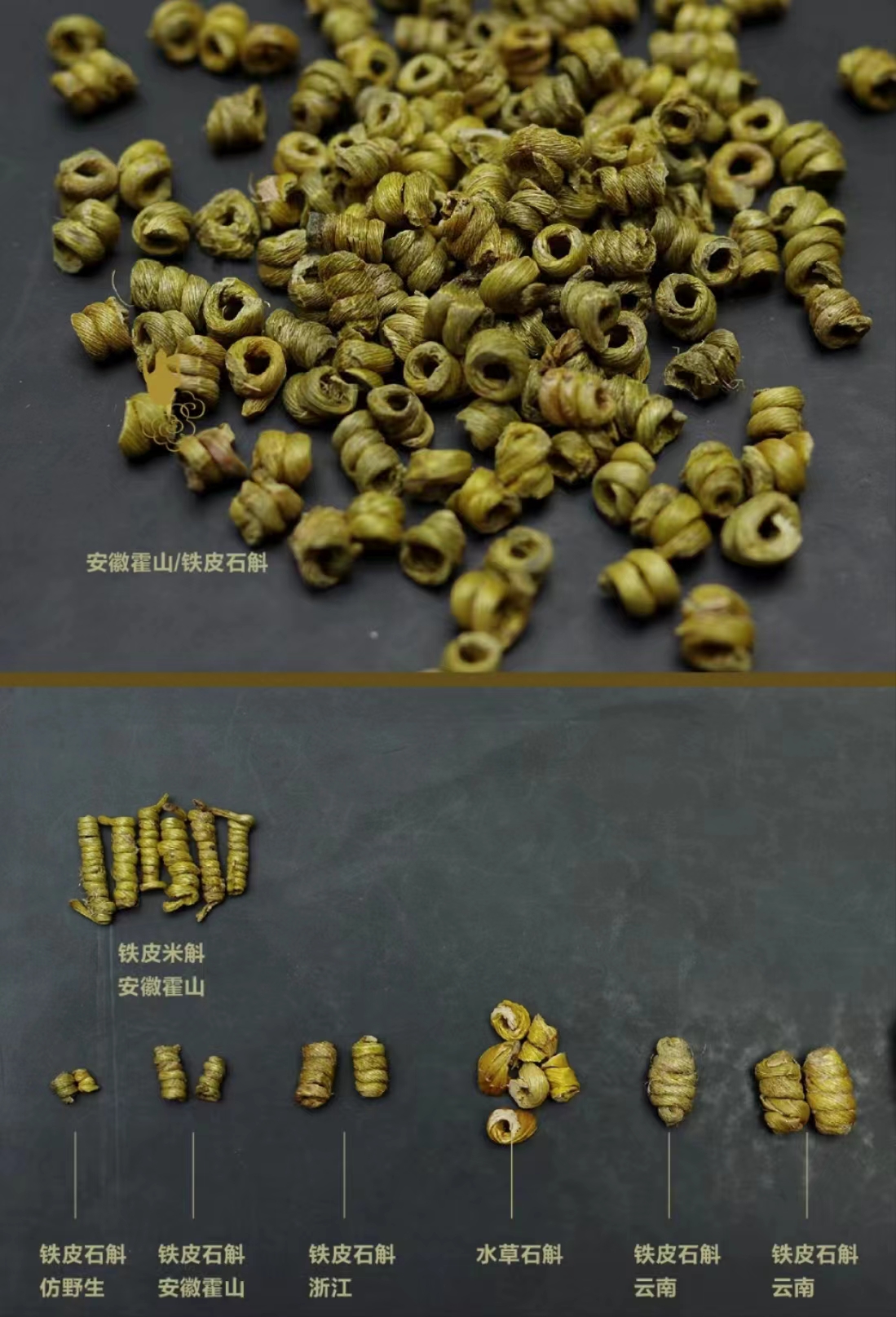 鲜霍山石斛多少一斤,5年霍山石斛多少一斤