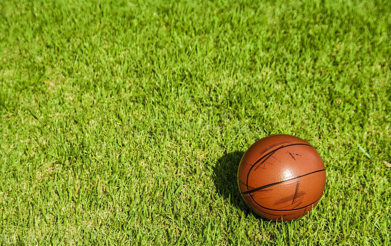 小学体育小篮球校本教材,小学体育小篮球教案