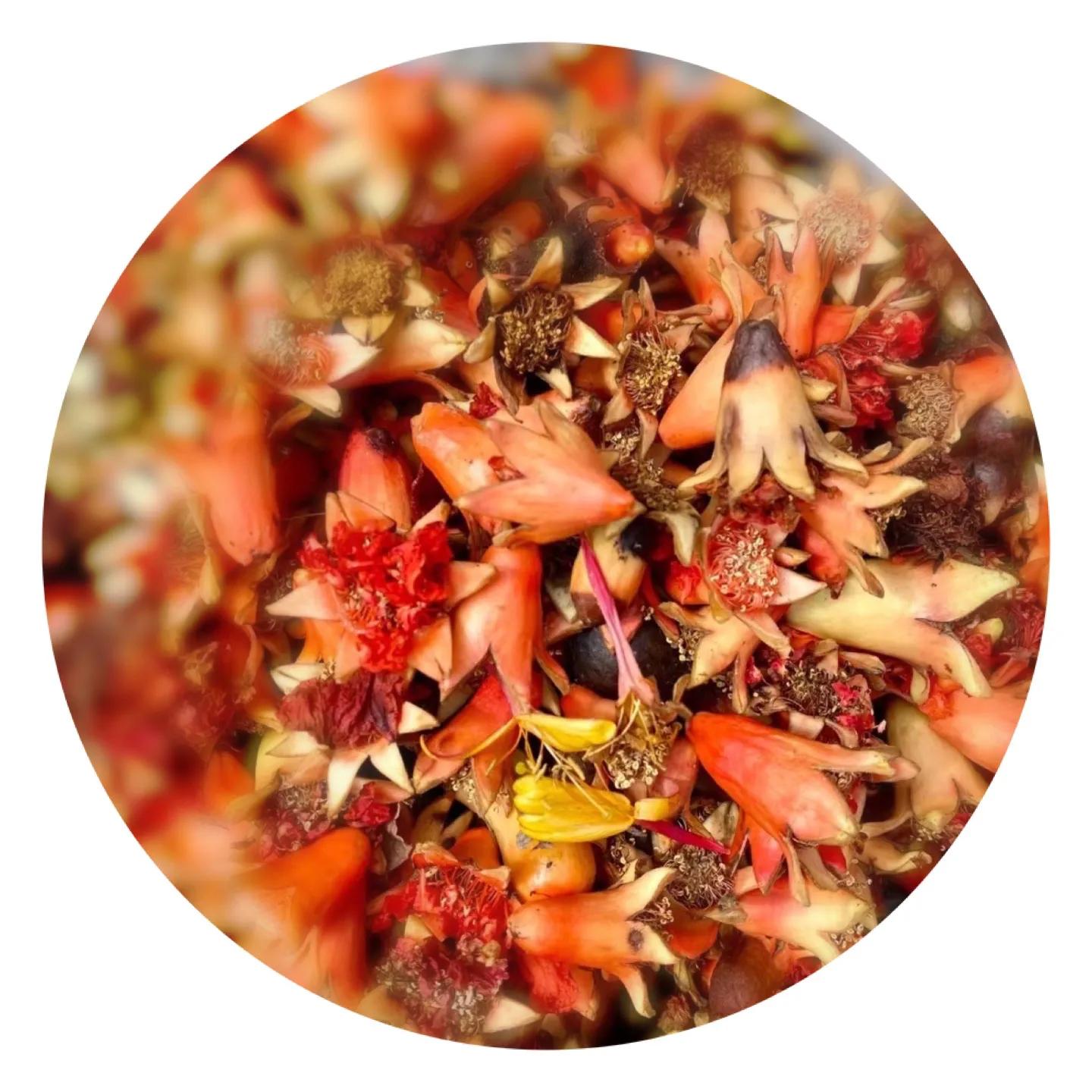 落英缤纷的全部小说百度云,落英缤纷下一句