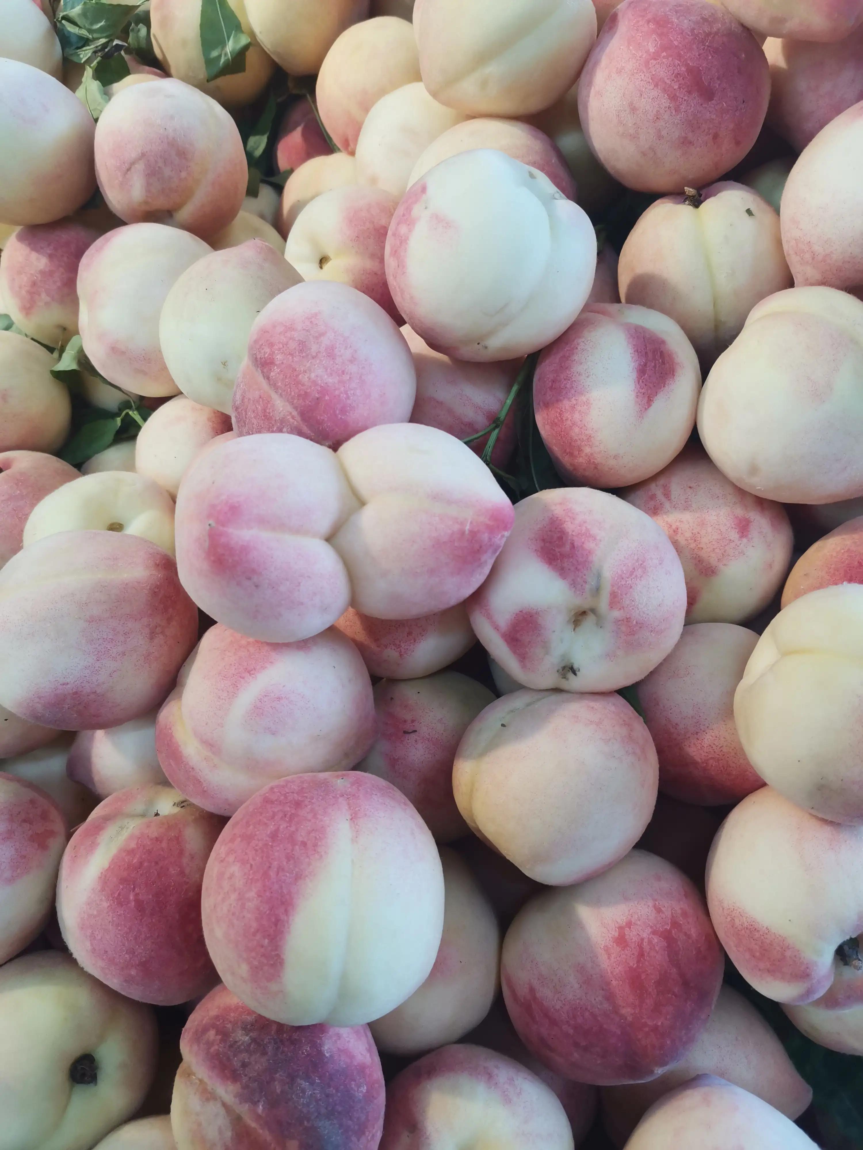 期待夏天水果盛宴,水果盛宴活动方案