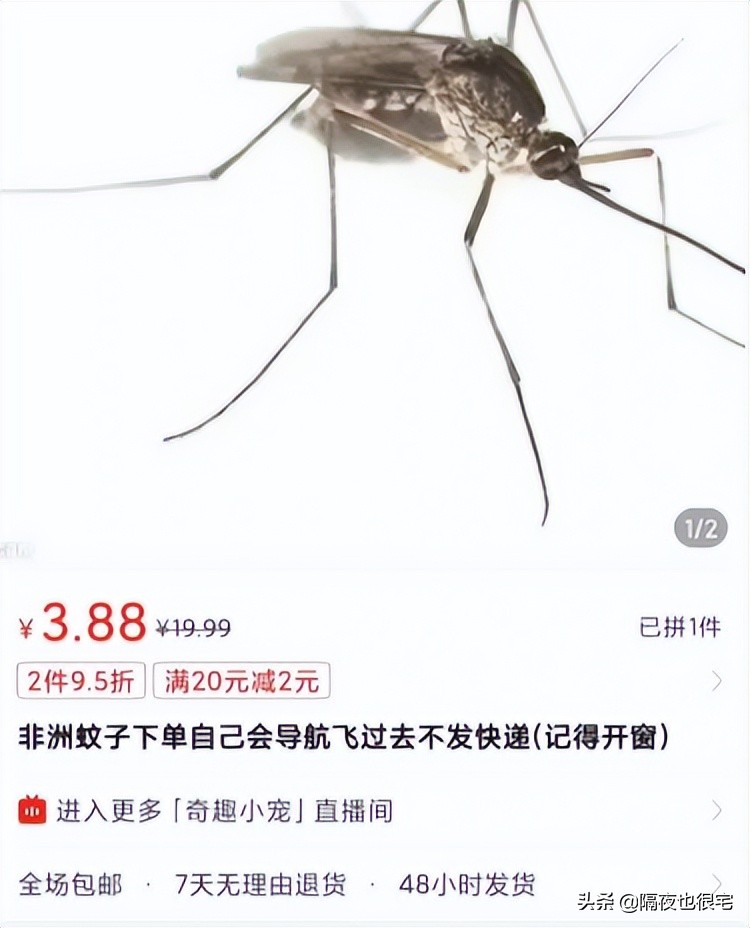 拼多多上一直不发货的店是空店吗,拼多多不发货的东西但会给优惠券