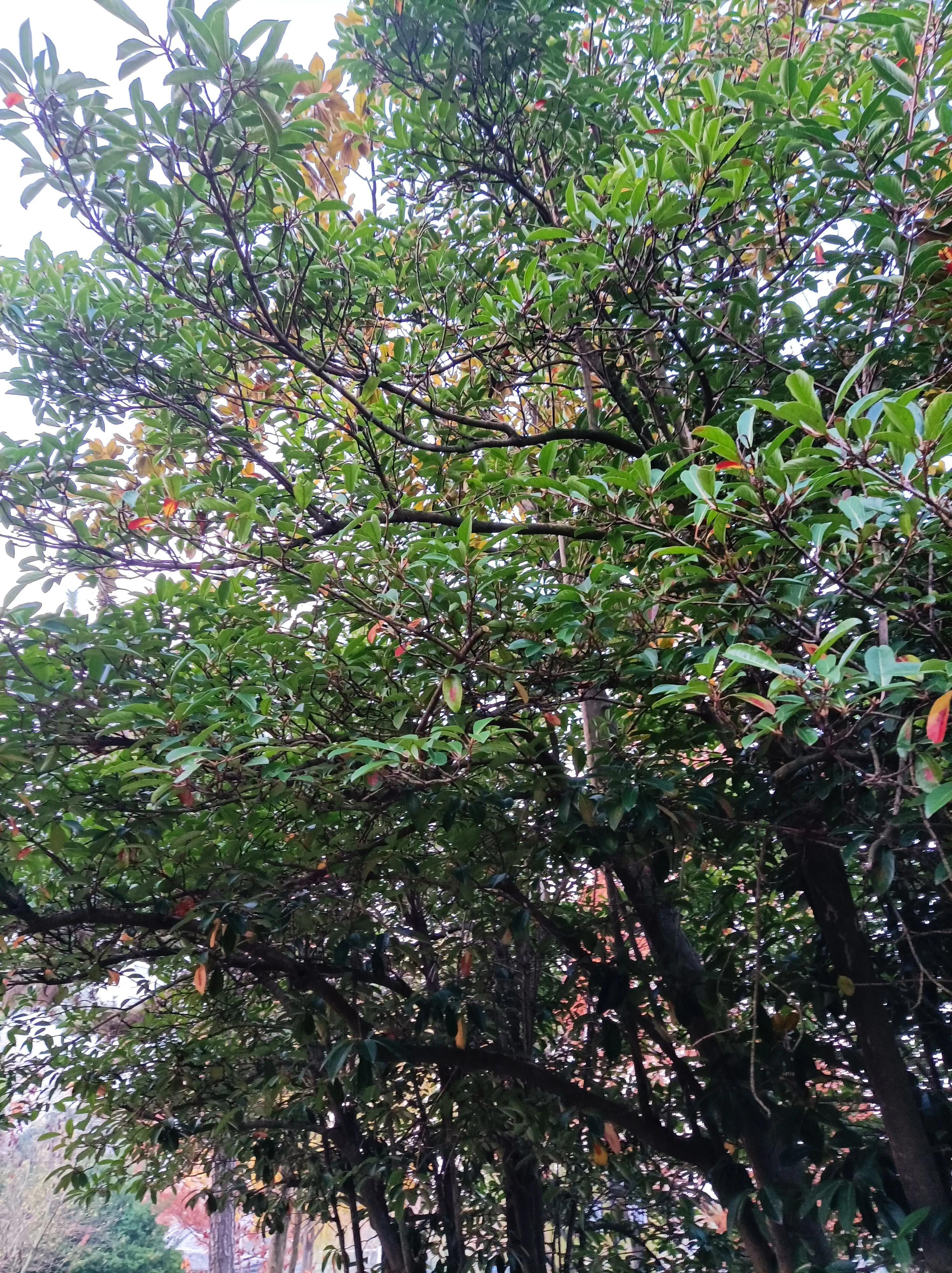 美年大健康体检时间,美年大健康体检优势