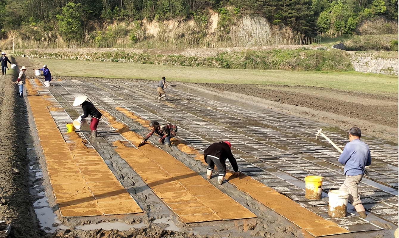 湖南青创贷金融扶持计划,助力创新创业青创贷