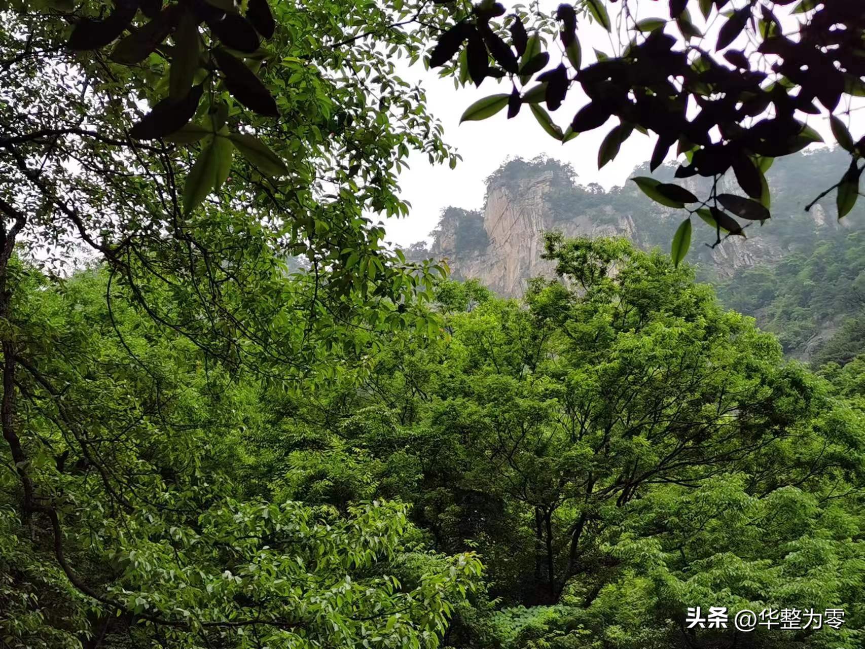 小黄山大明山全景,小黄山大明山在哪里