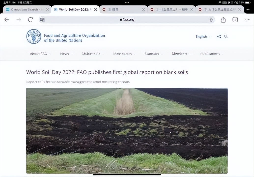 是谁在砸中国人的饭碗？400年才形成的黑土，4元一斤在网上被盗卖