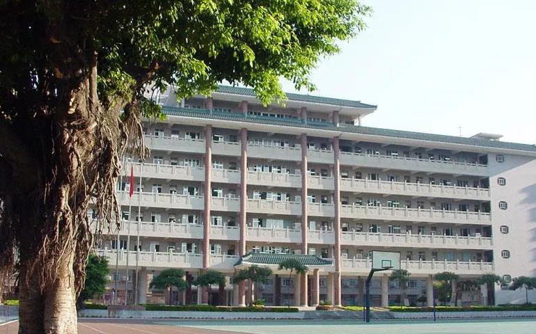 中国女足解说词诗句,中国女足的说说