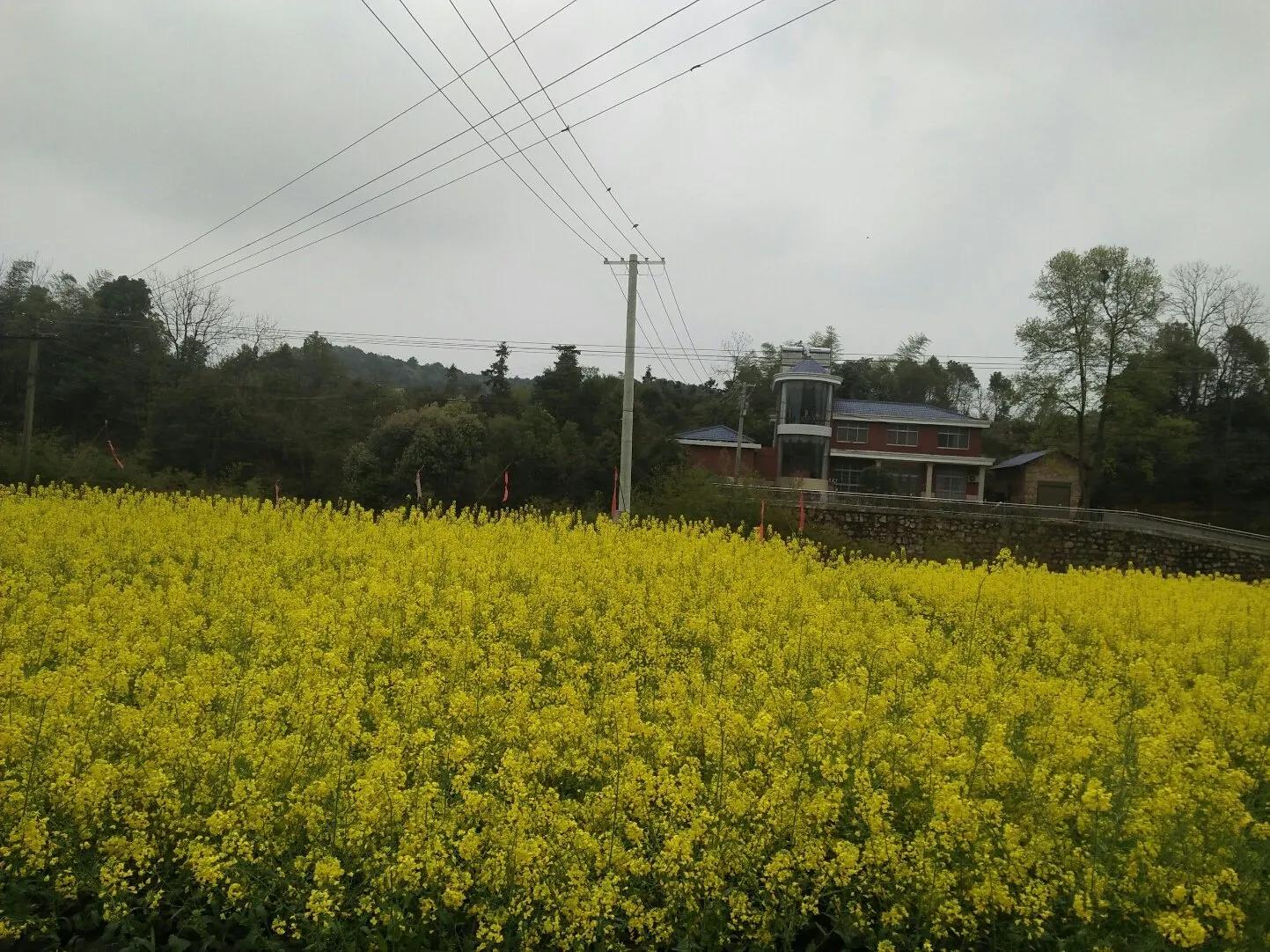 湖南湘潭谭家山镇地图,湖南湘潭县谭家山