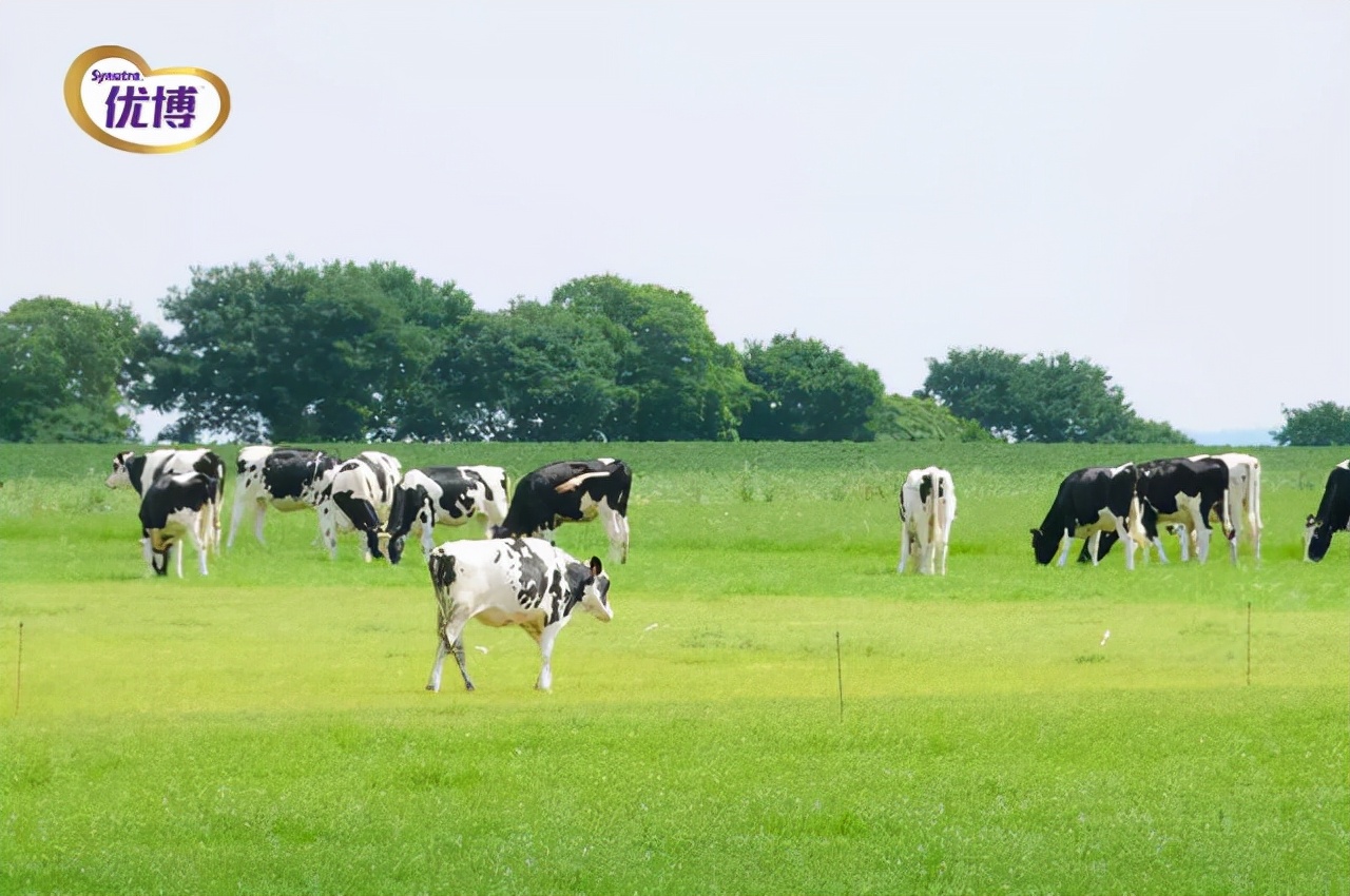 12-36月龄宝宝奶粉怎么选,一岁半宝宝第一次喝奶粉怎么选