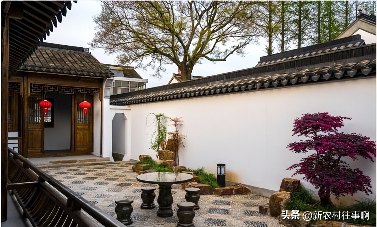 养老在城市好还是回农村老家好,老了适合回农村老家养老吗